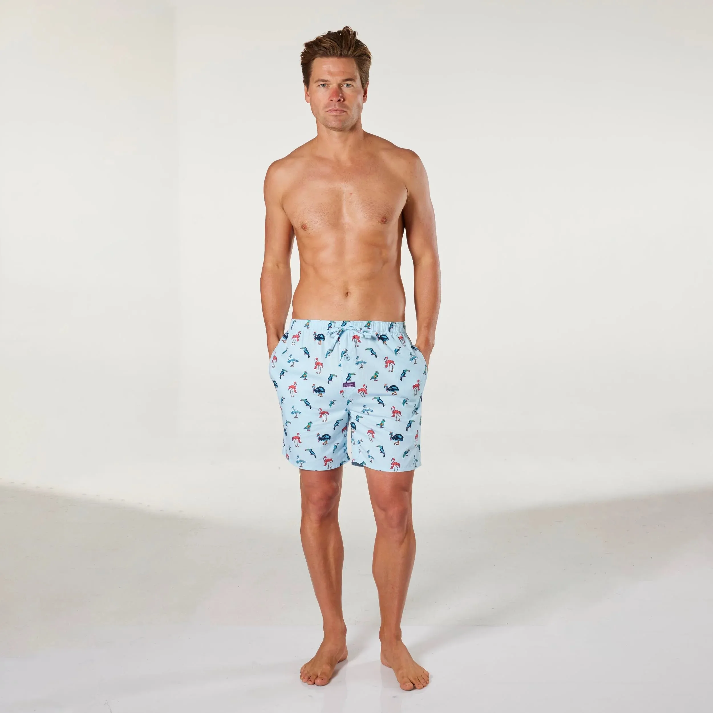 Men's Bird Song Cotton Sleep Shorts - Sky Blue